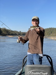 Micropterus henshalli