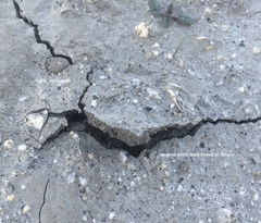 Disciseda subterranea