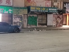 Nycticorax nycticorax