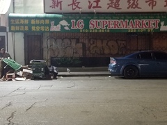 Nycticorax nycticorax