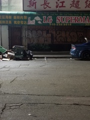 Nycticorax nycticorax