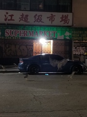 Nycticorax nycticorax