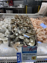 Penaeus occidentalis