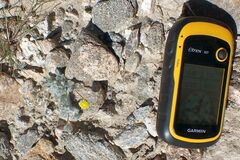 Trichoptilium incisum