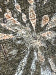 Phytophthora ramorum