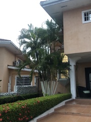 Arecaceae