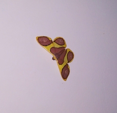 Plutodes pseudocyclaria