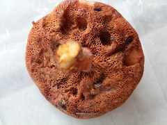 Chalciporus rubinellus