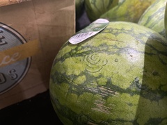 Watermelon mosaic virus
