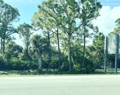 Meleagris gallopavo osceola