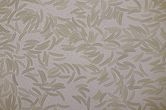 Quaternaria quaternata