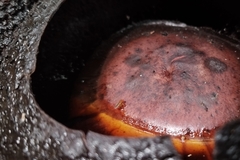 Rafflesia rochussenii