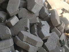 Trachylepis spilogaster