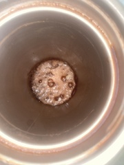 Penicillium digitatum