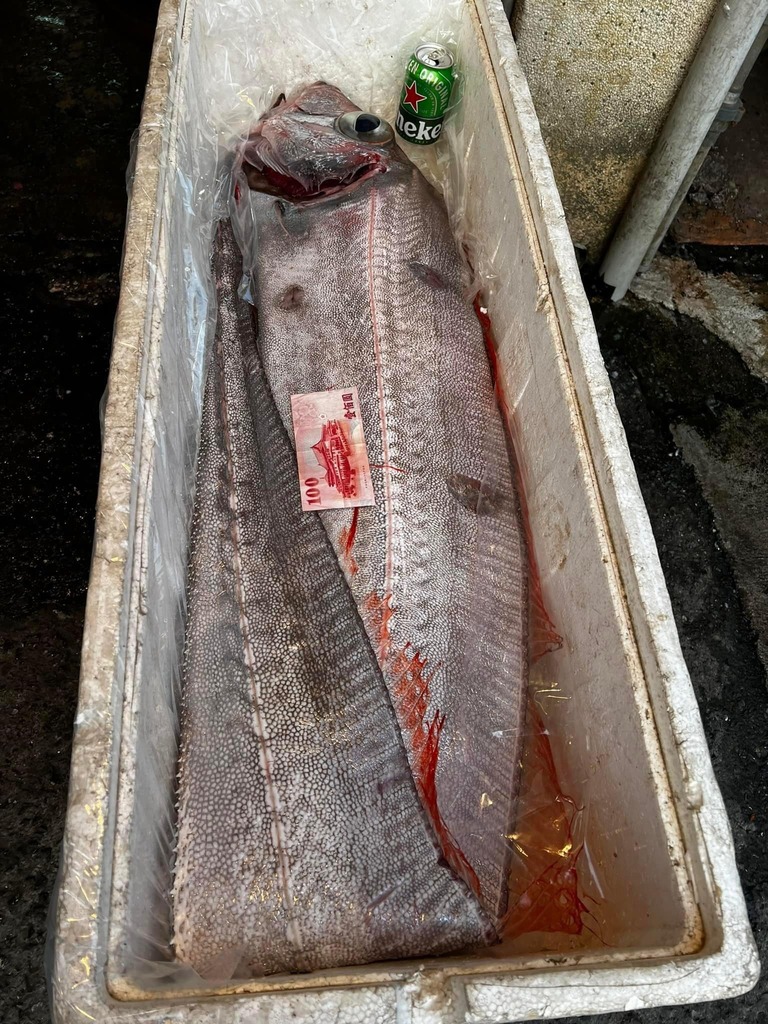 Slender Ribbonfish