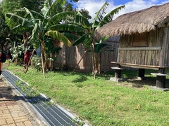 Musa