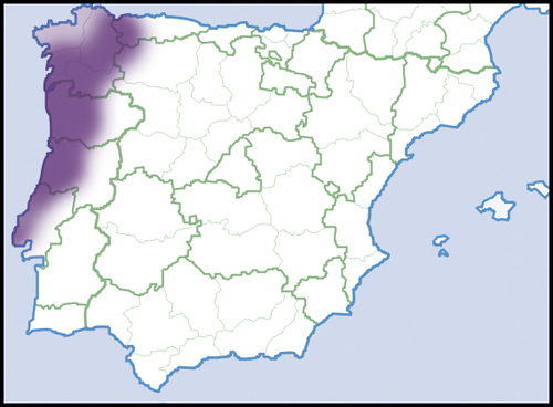 Oestophora lusitanica