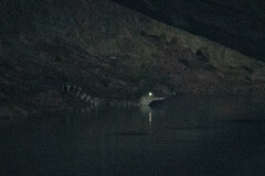 Paleosuchus trigonatus