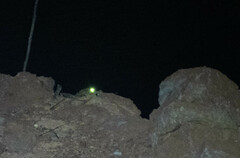 Paleosuchus trigonatus