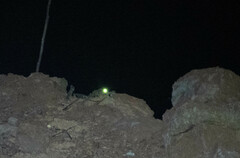 Paleosuchus trigonatus