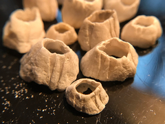 Amphibalanus improvisus