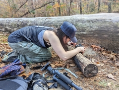 Laccaria trichodermophora