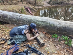 Laccaria trichodermophora