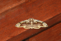 Brahmaea hearseyi