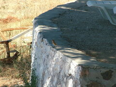 Oenanthe melanoleuca