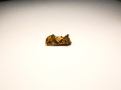 Argyrogramma verruca
