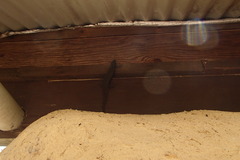 Egerniinae