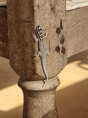 Lygodactylus mombasicus