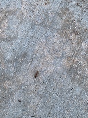 Aeolus mellillus