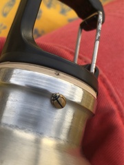 Cheilomenes propinqua