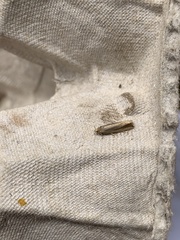 Ypsolopha ustella
