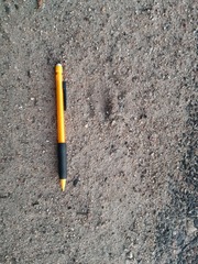 Capreolus capreolus