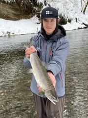 Oncorhynchus gorbuscha