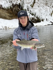 Oncorhynchus gorbuscha