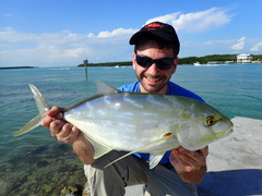 Caranx bartholomaei