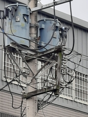 Dendrocitta formosae