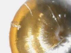 Euconulus alderi