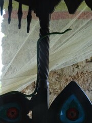 Philothamnus punctatus