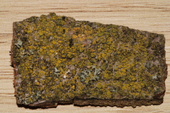 Candelariella reflexa