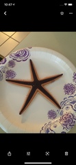 Astropecten articulatus
