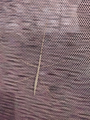 Parabacillus hesperus