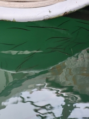 Aulorhynchus flavidus