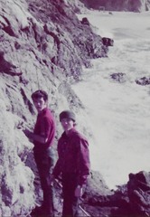 Hyperprosopon ellipticum