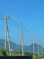 Spilornis cheela