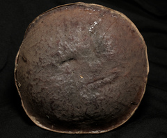 Xerocomellus atropurpureus