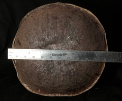 Xerocomellus atropurpureus